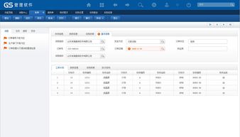 浪潮erp gs產(chǎn)品