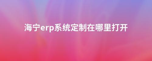 海寧erp系統定制在哪里打開