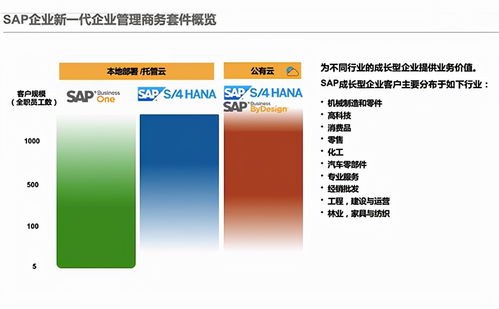 sap的云erp產品有哪些,怎么選擇適合企業的云erp系統